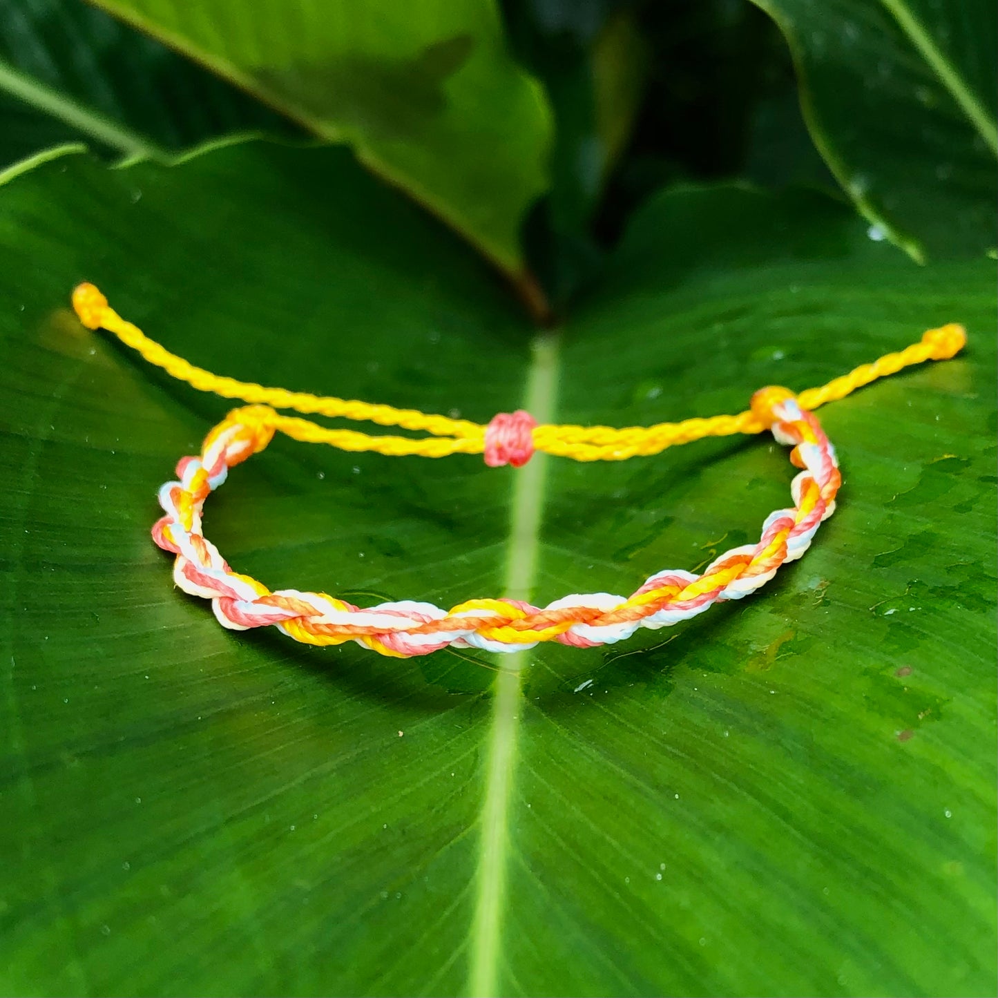 Simple Twisted Rope Braid Bracelet - Multicolor