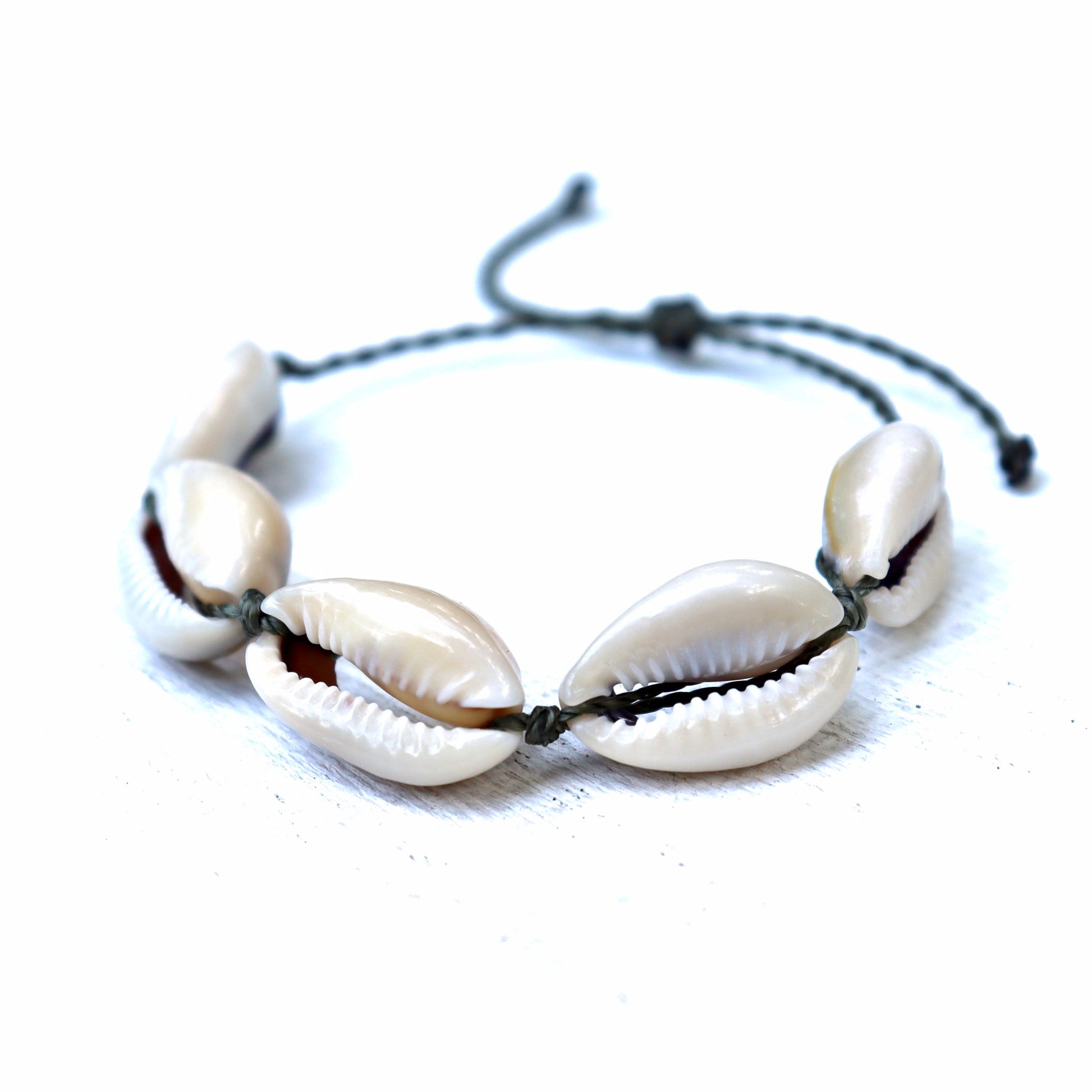 Bracciale Conchiglia SEESTERN Kauri / Bracciali Surfer Shell Bracelet Bracciale Conchiglia SEESTERN Kauri / Bracciali Surfer Shell Bracelet