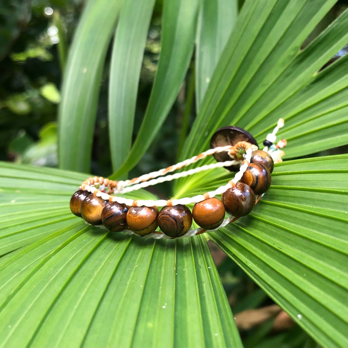 Guanacaste Bracelet - SMALL - Limited Edition
